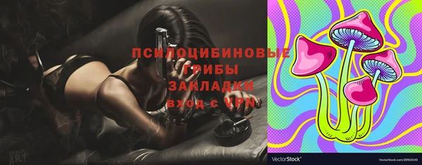 твердый Бугульма