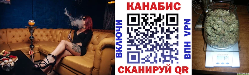 купить наркотик  Городец  Конопля SATIVA & INDICA 